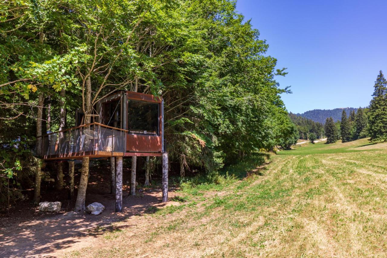 Holiday home Perchee La Resilience Sur Le Plateau Du Vercors