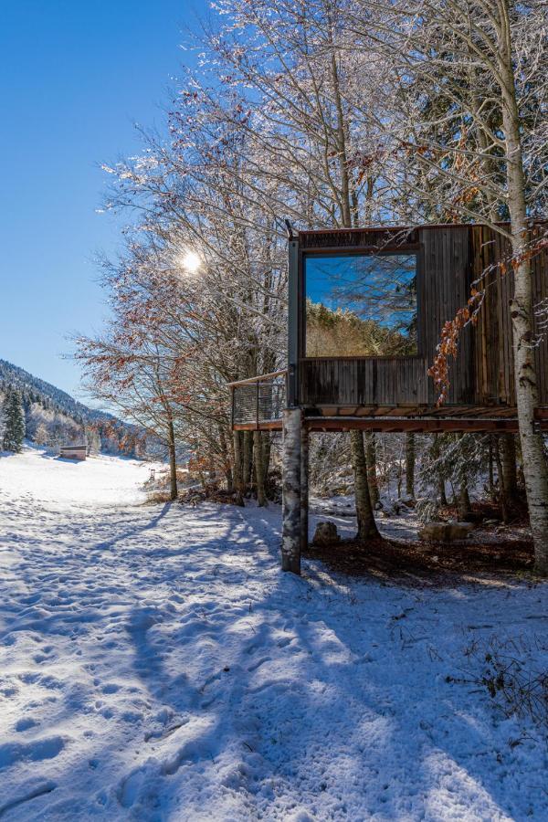 Perchee La Resilience Sur Le Plateau Du Vercors * Autrans-Meaudre-en-Vercors