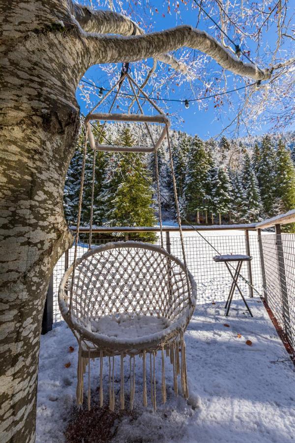 Perchee La Resilience Sur Le Plateau Du Vercors