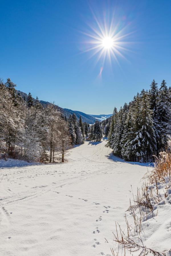 Perchee La Resilience Sur Le Plateau Du Vercors Autrans-Meaudre-en-Vercors
