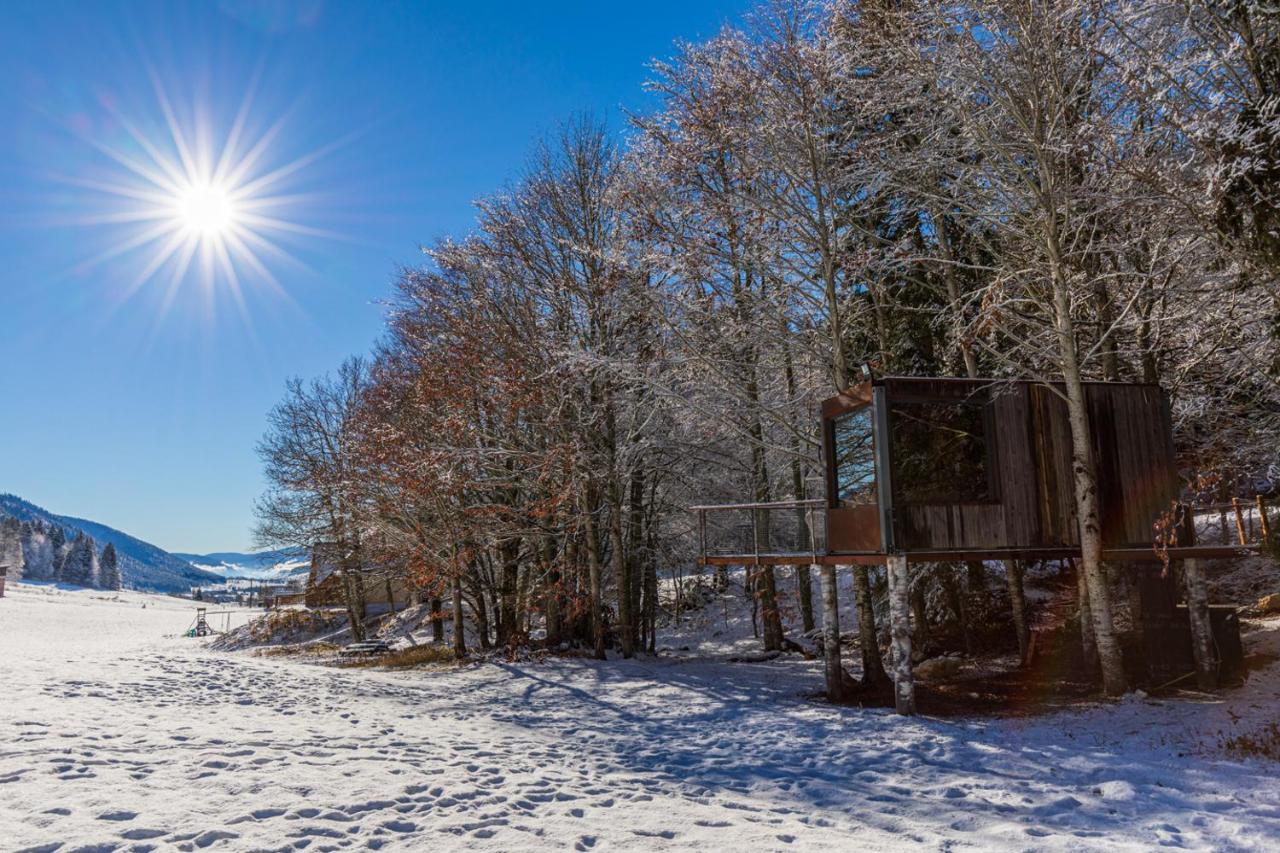 Perchée La Résilience Sur Le Plateau Du Vercors *